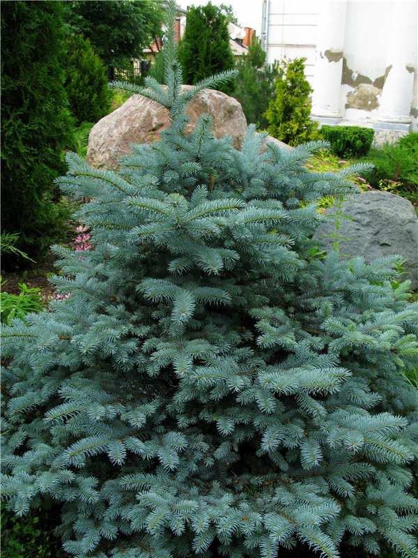 Кашин - город русского сердца. Часть седьмая. Вознесенский кафедральный собор