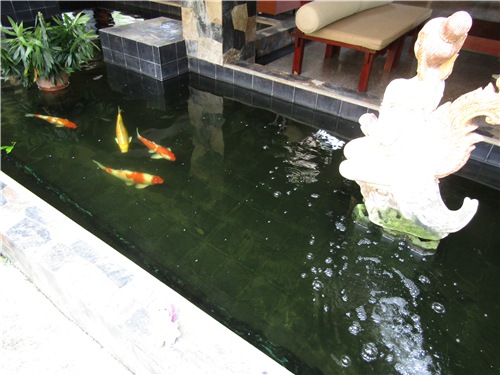 Тайланд Вам рад - на чудеса богат (фото 2)