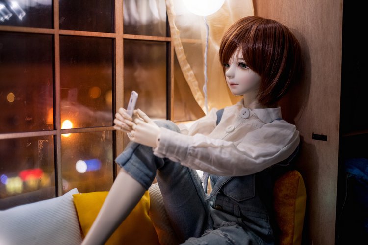 Неизвестный номер — Фотоистории с куклами BJD (БЖД): сериалы