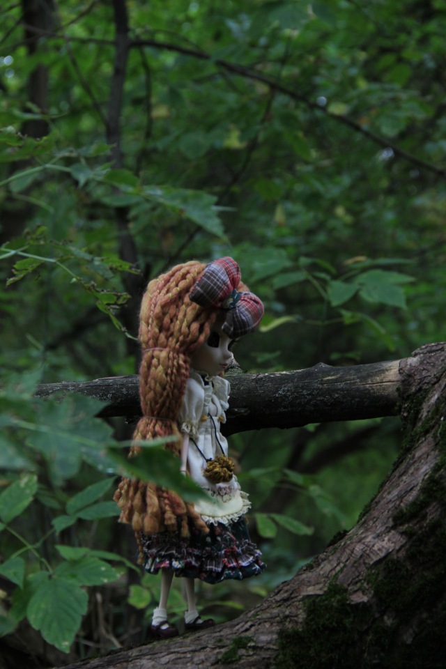 Немного об Амарри — Куклы Pullip (Пуллип) (фото 7)