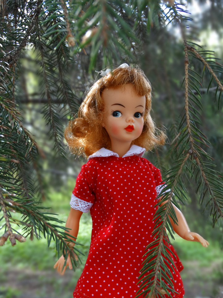 Тамми приехала — Куклы Sindy (Синди) и Tammy (Тамми): винтаж