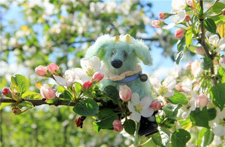 Блайзочки на природе — Оригинальные куклы Blythe (Блайз): Takara