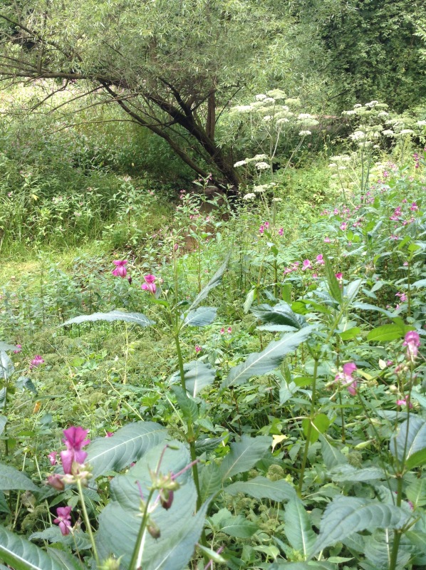 "Есть на Москве места такие..." ч.2. Тайны Коломенского оврага