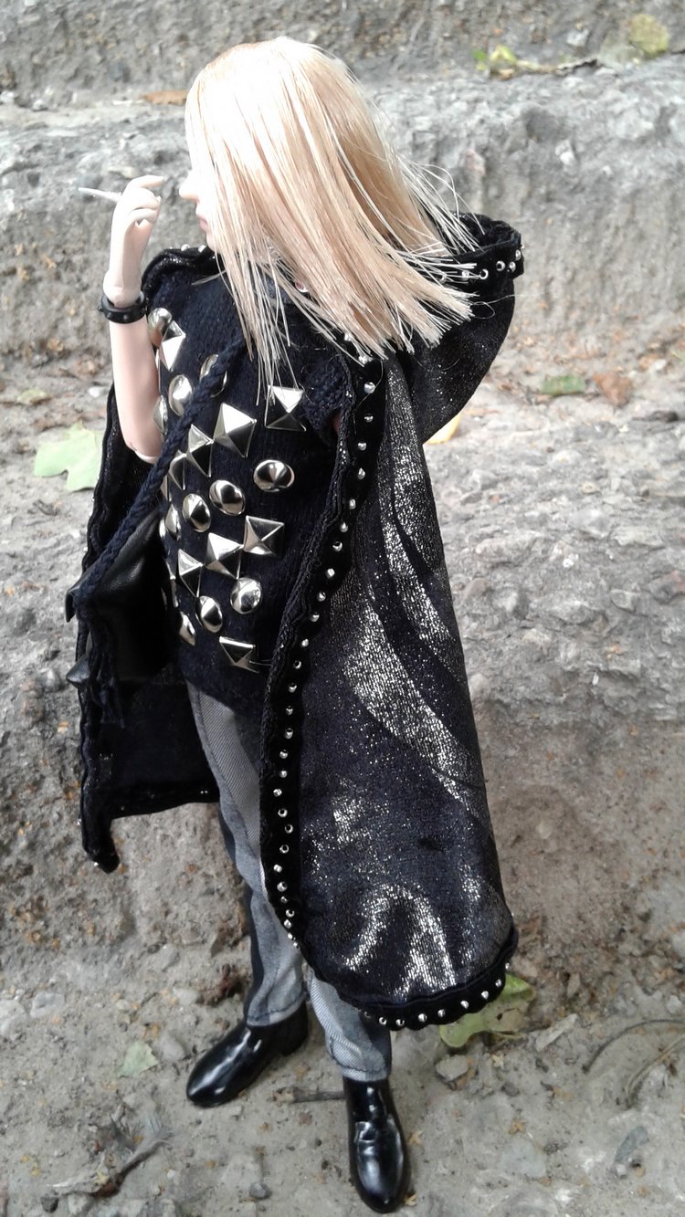 Зимнее солнце. Глава 1. Сказочный поезд