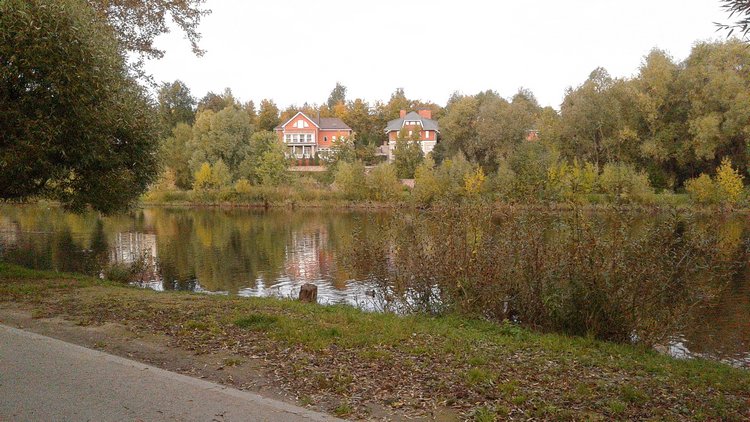 Зимнее солнце. Глава 6. Дом там, где сердце