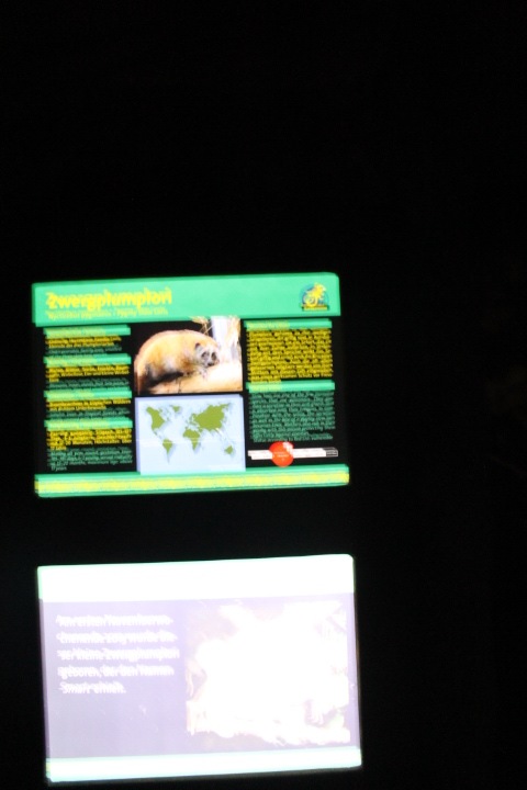 По Германии: зоопарк Лейпцига, часть 2