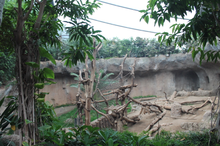 По Германии: зоопарк Лейпцига, часть 3