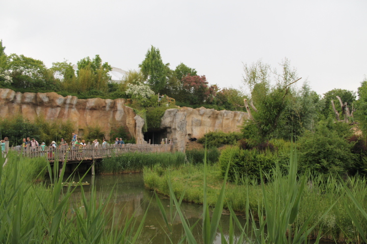 По Германии: зоопарк Лейпцига, часть 3 (фото 4)