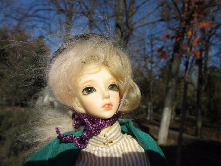 Танец умирающей осени — Куклы Soom (Сум): BJD (БЖД) (фото 6)