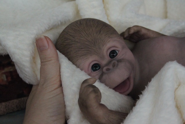 Карамелька кукла-реборн Элины Кудрявцевой (фото 3)