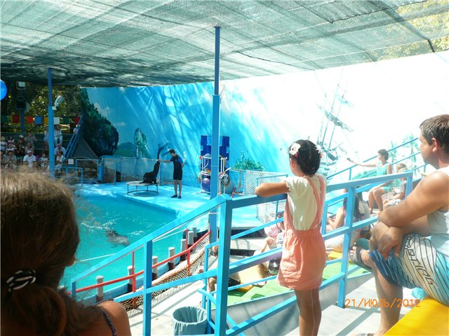 Сосенка Пин. Отпуск — Разные куклы BJD (БЖД): редкие бренды