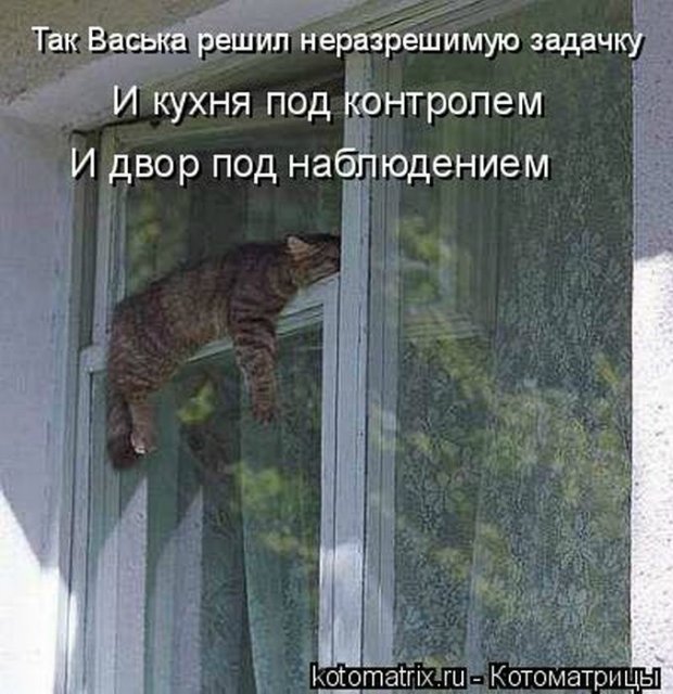 Море позитива) Для поднятия настроения (осторожно! много фото)))) | Бэйбики Море позитива) Для поднятия настроения (осторожно! много фото))))