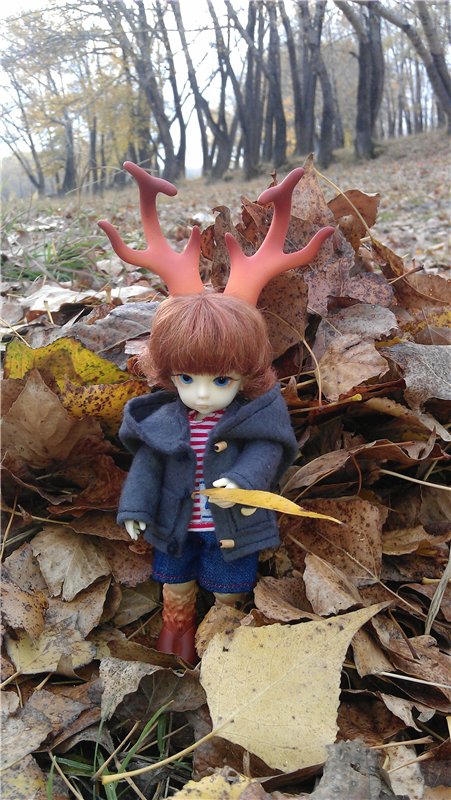 День нашего Дейви — Куклы Dollzone (Доллзон): BJD (БЖД) (фото 8)