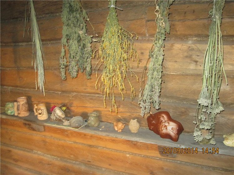 Давайте знакомиться! Мусенька - Realpuki Kaka Basic;)