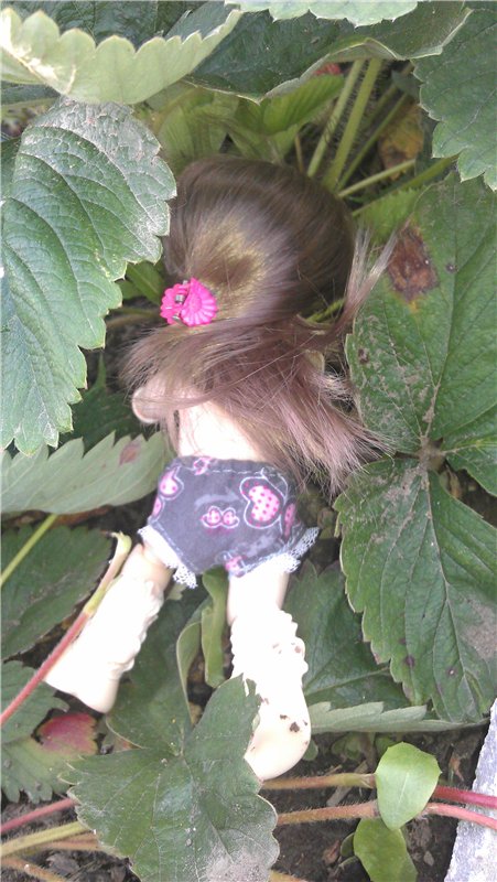 Немного лета в холода — Куклы Dollzone (Доллзон): BJD (БЖД)