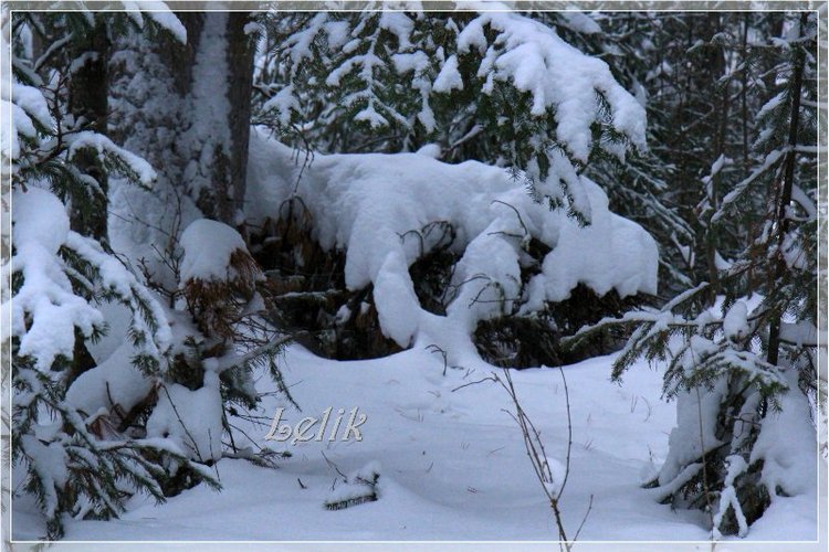 12 месяцев, или как Тамира за подснежниками ходила )