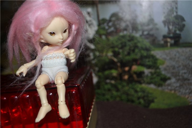 Проба перетяжки, мейка. БЖД Розочка и Мира (фото 2)