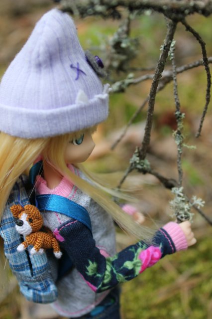 Японские девочки azone pure neemo в русском лесу (фото 8)