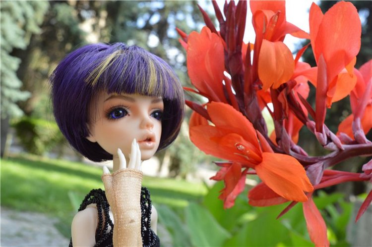 Моя любимая ведьма Исса — Куклы Doll Chateau (Доллшато): BJD (БЖД)