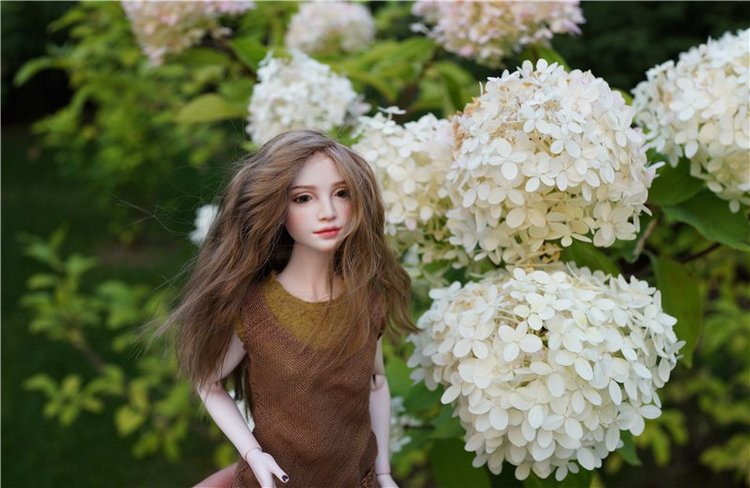 Прекрасная Адель, Натальи Лосевой