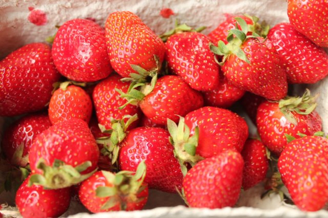 Сказка о Мишеле, BJD часть 2