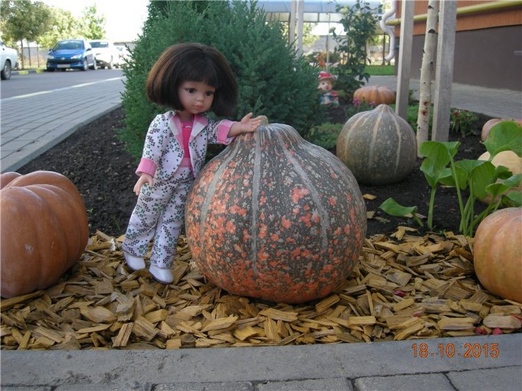 Первые прогулки Алисы — Фэшн (фото 4)