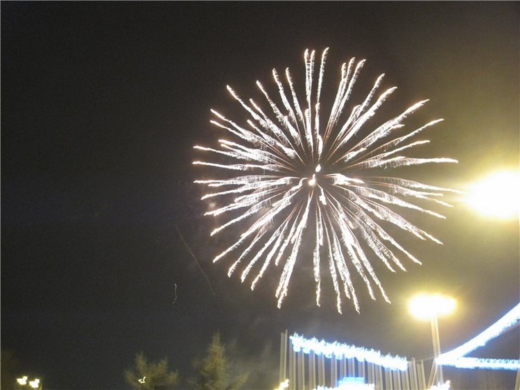 Как мы встречали Новый 2016 год