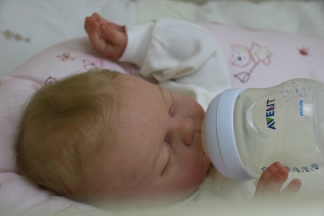 Ноашечка. Куколка реборн Виктории Вишни