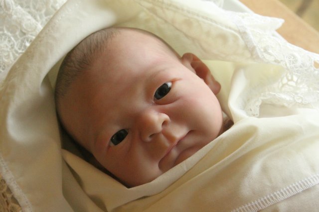 Филипка, кукла реборн Элины Кудрявцевой