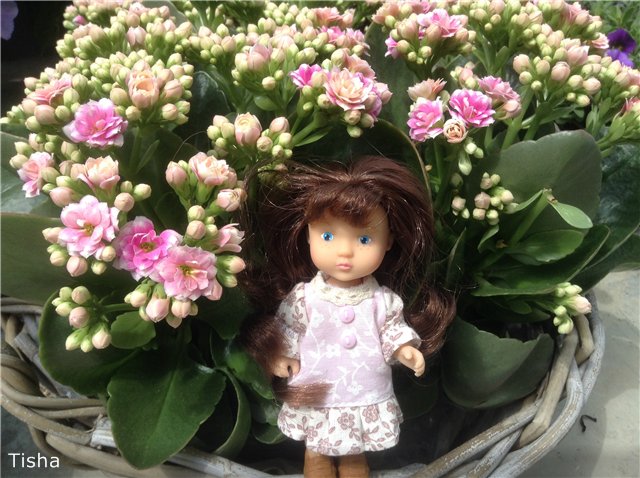 Малышки Sarah Key — Другие мини