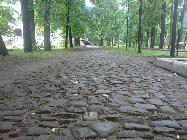 Путешествие в город Сарапул. Часть 1 - Дача Башенина (фото 2)