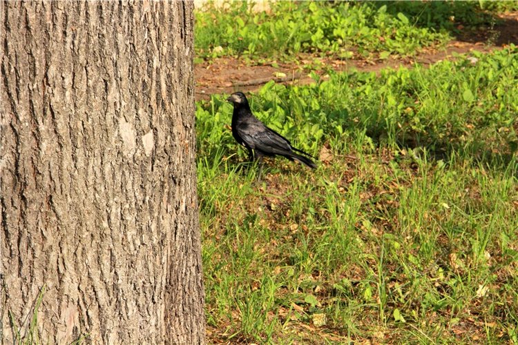 Русская Атлантида, заключительная часть. Калязин, Тверская область