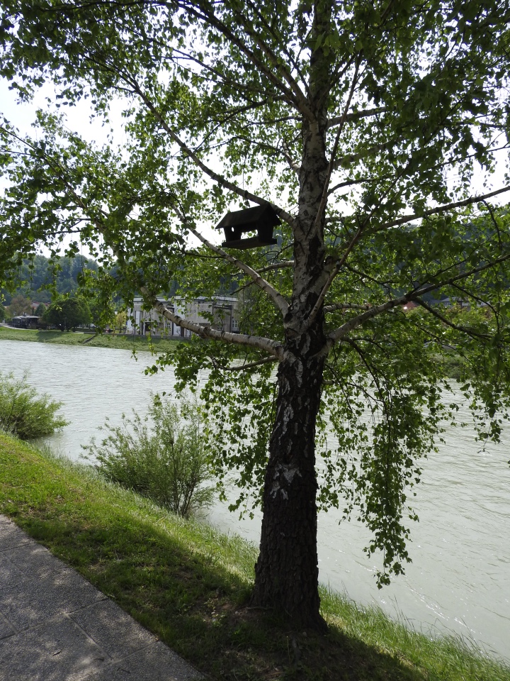 Словения, Светланка и маленький «герой» в одном ботинке