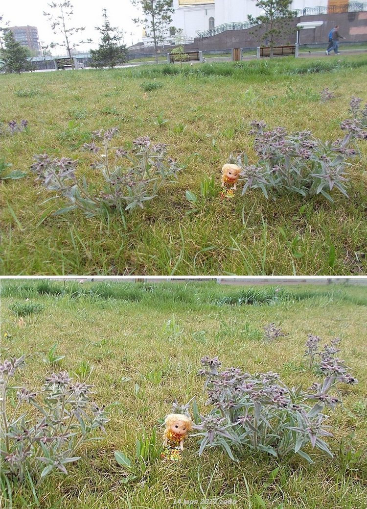 Майские денёчки — Болталка и разговоры обо всем: жизнь (фото 2)