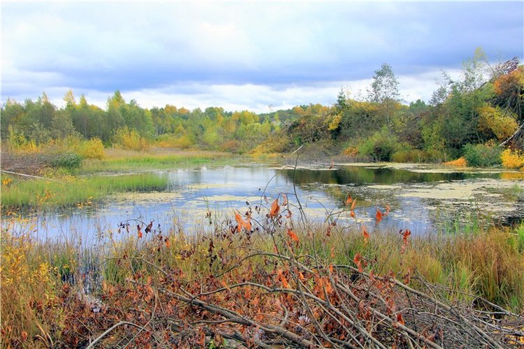 Тверской Водопад — Туризм и путешествия: фотоотчеты из поездок