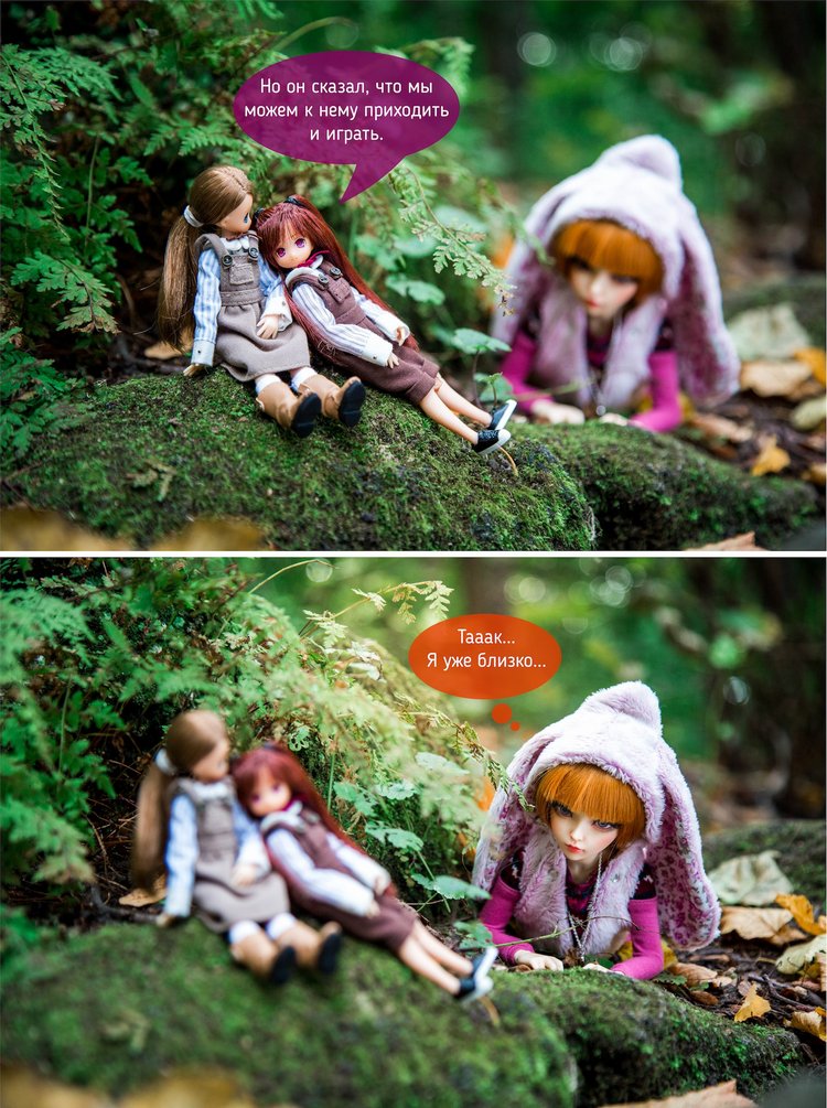 Лисьи приключения: Кролик, или лис - вот в чём вопрос (фото 4)