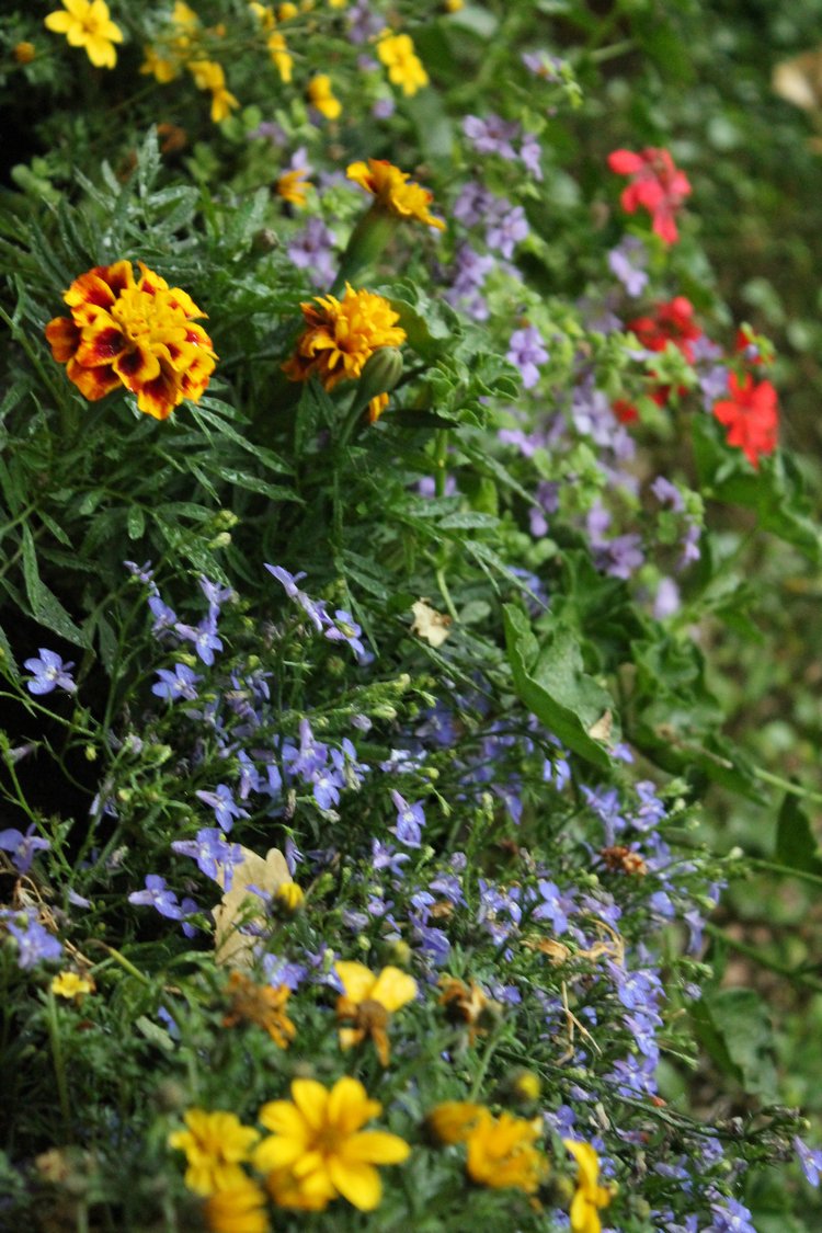 По Германии: зоопарк Лейпцига, часть 3