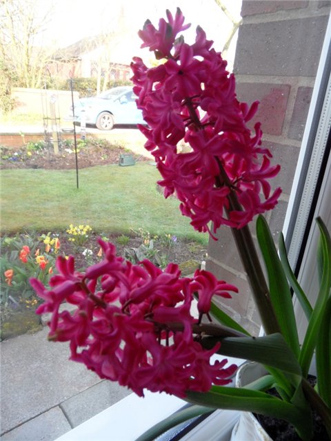 Люблю тебя, английская деревня (фото 2)