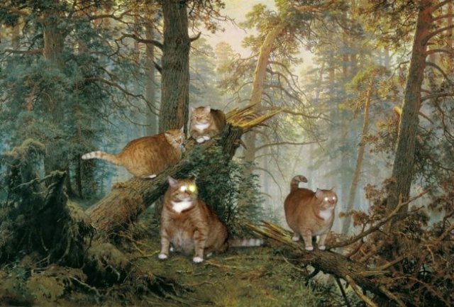 «Мяу» особого назначения или Весенняя кошкотерапия