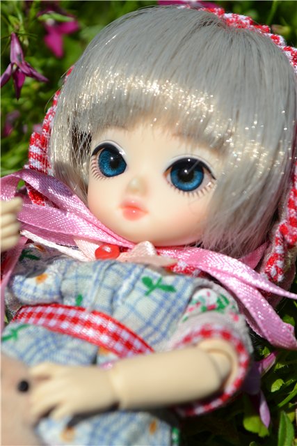 В нашем доме, поселилась чудная девочка - АЗАЛИЯ (фото 9)