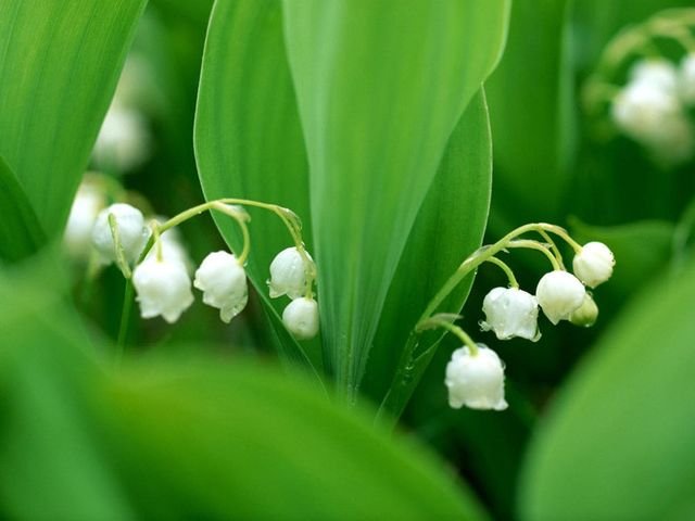 Мои Перинята. Очарование кукол Beatrice Perini для Gotz | Бэйбики Мои Перинята. Очарование кукол Beatrice Perini для Gotz (фото 7)