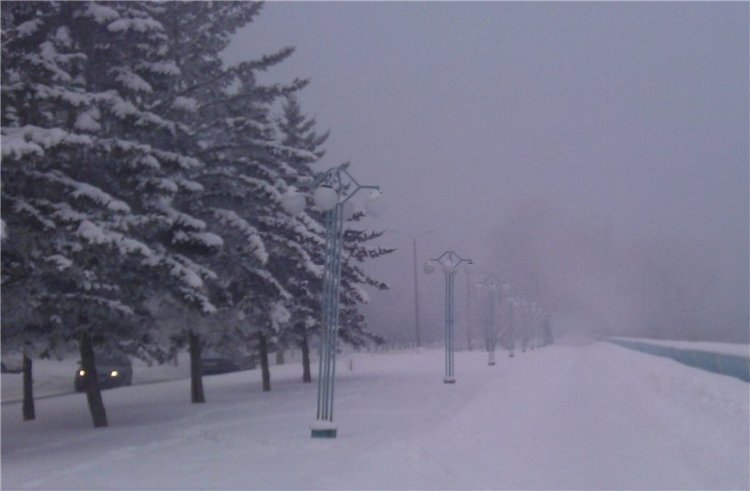 Немного лета в холода — Куклы Dollzone (Доллзон): BJD (БЖД)