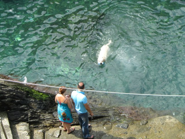 Моя Италия. Часть 2 - Леванто, Манарола