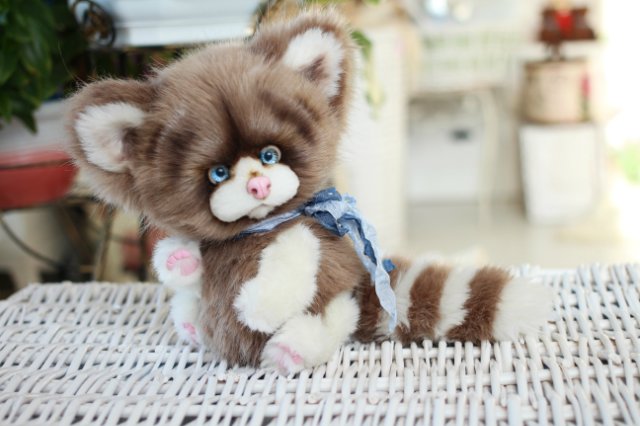 Голубоглазый котик-обормотик Мишка