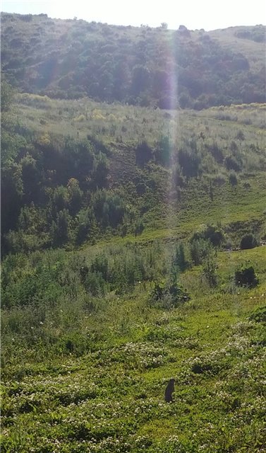 Как мальчишки ездили замараться))))