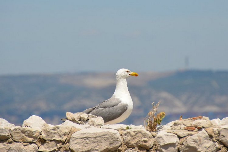 Ницца, Марсель, море и горы