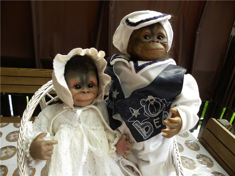 Необычное пополнение в моем доме