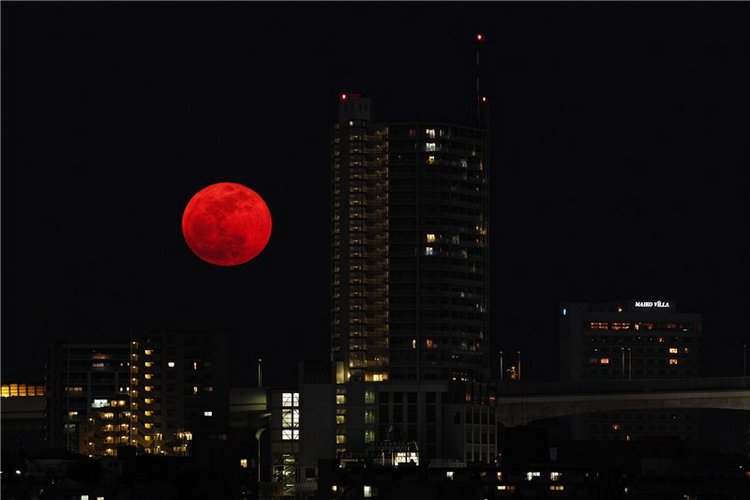 Черное и красное | Бэйбики Черное и красное — Одежда и обувь для кукол своими руками: фото