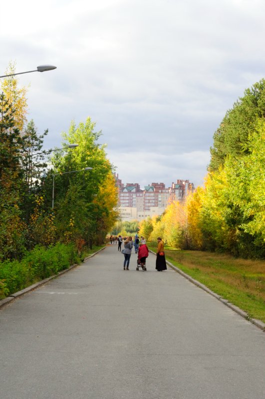 Люблю я пышное природы увяданье