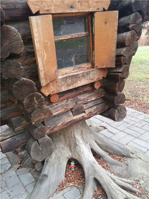 Один большой день из жизни маленькой Фроси